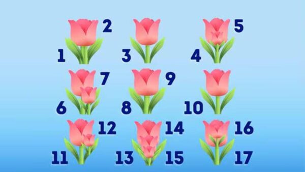 DESAFIO: quantas flores você vê?