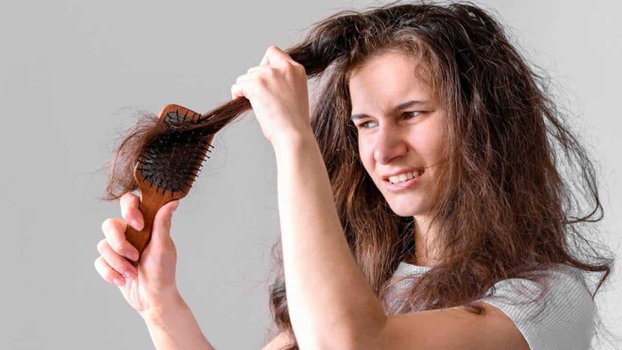 folhas de goiaba para tratar os cabelos danificados