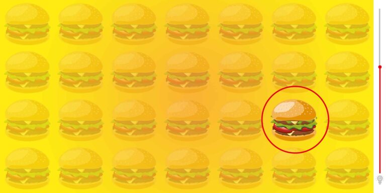 Desafio: Onde está o hambúrguer diferente?