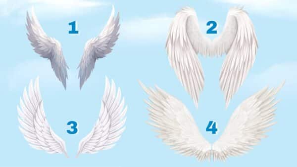 TESTE Escolha suas asas preferidas