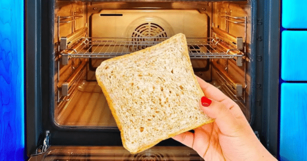 colocar o pão no forno logo