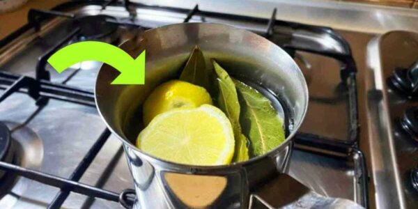 ferver limão e folhas de louro?