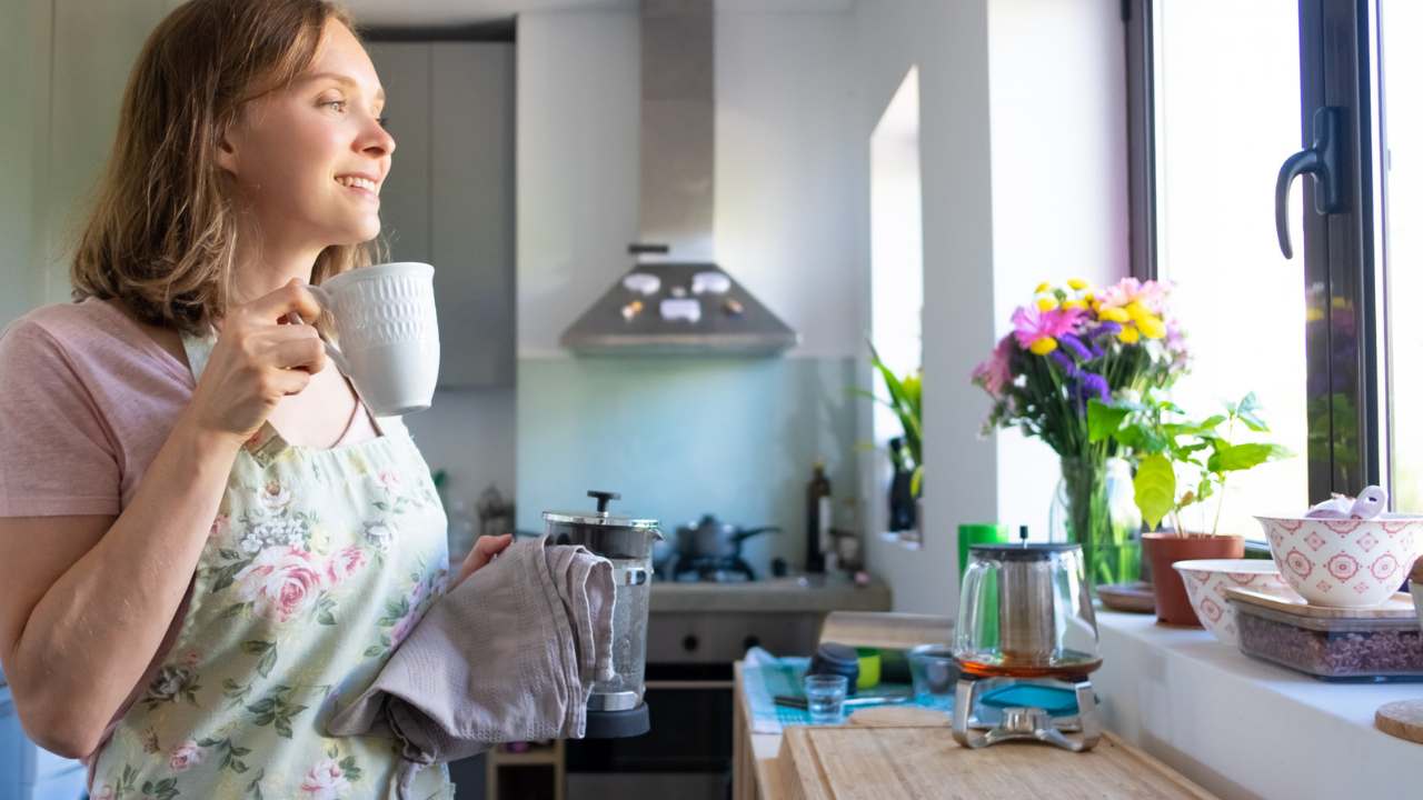 plantas perfumadas para cozinha