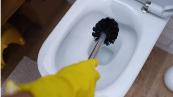 remover o tártaro do vaso sanitário