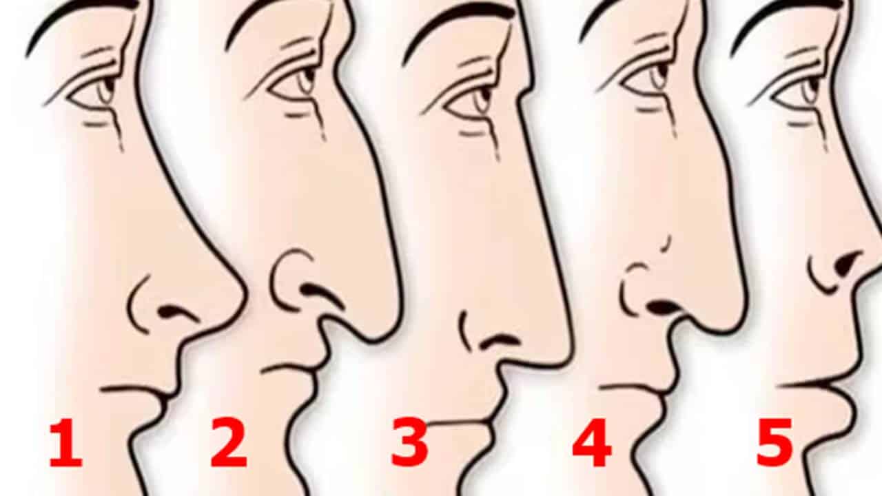Descubra o que formato do nariz revela sobre sua personalidade