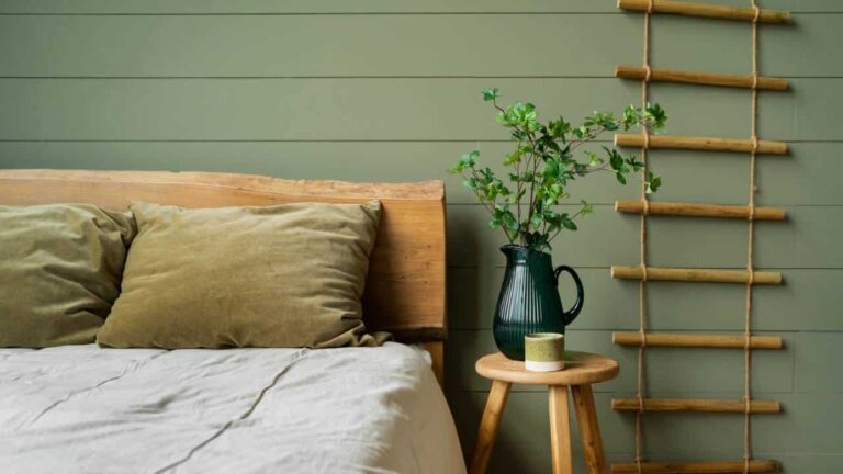 Planta fácil para seu quarto