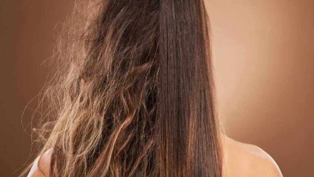 Receita para combater o frizz e o ressecamento dos cabelos