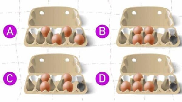 TESTE Como você organiza os ovos