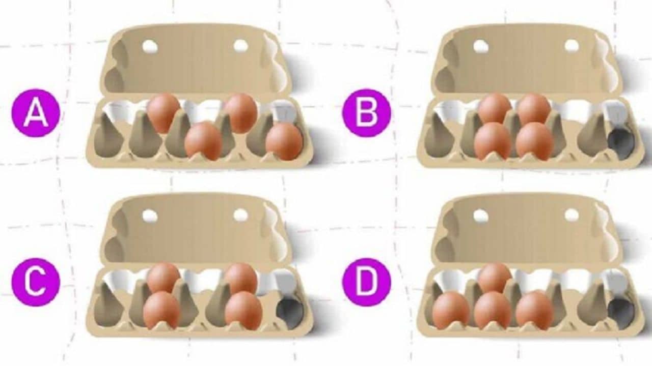 TESTE Como você organiza os ovos