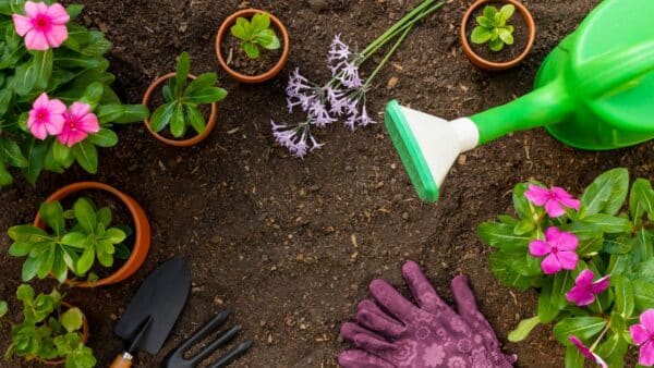 plantas que são venenosas