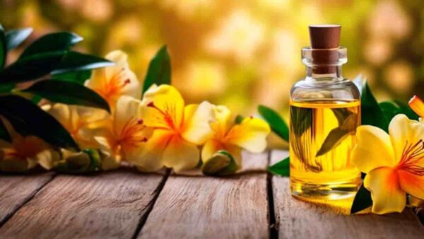 Óleo de Monoi: como usar este elixir de beleza para pele e cabelo