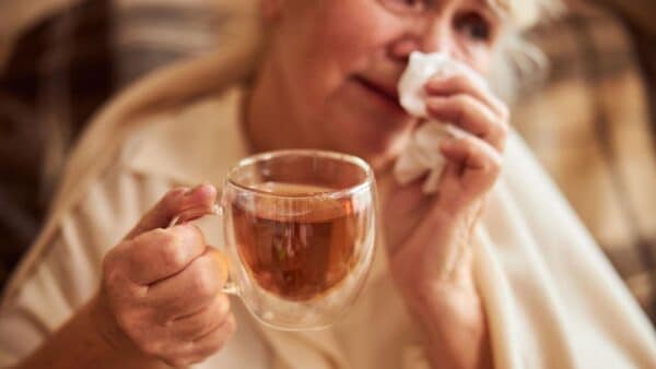 plantas que ajudam a aliviar gripe