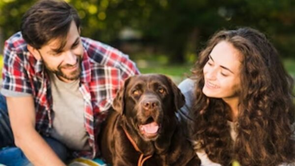 Estes são os signos do zodíaco que se dão melhor com os cães