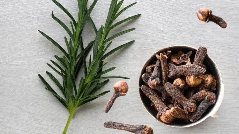 Remédios naturais para combater a queda de cabelo com alecrim e cravo