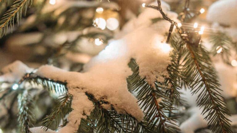 Descubra como fazer neve falsa para usar na decoração Natalina
