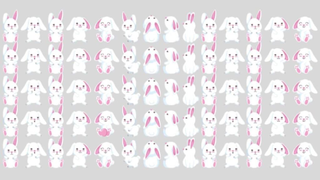 DESAFIO VISUAL Observe os coelhos