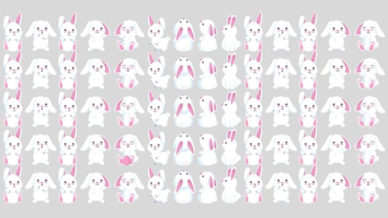 DESAFIO VISUAL Observe os coelhos