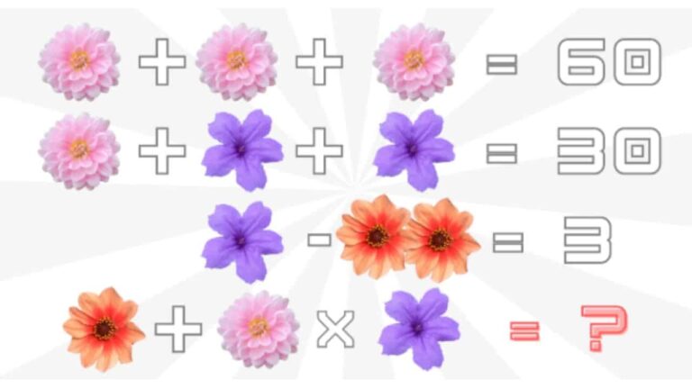 Desafio visual Cada flor esconde um valor