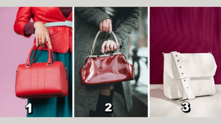 TESTE Qual bolsa revela seus segredos