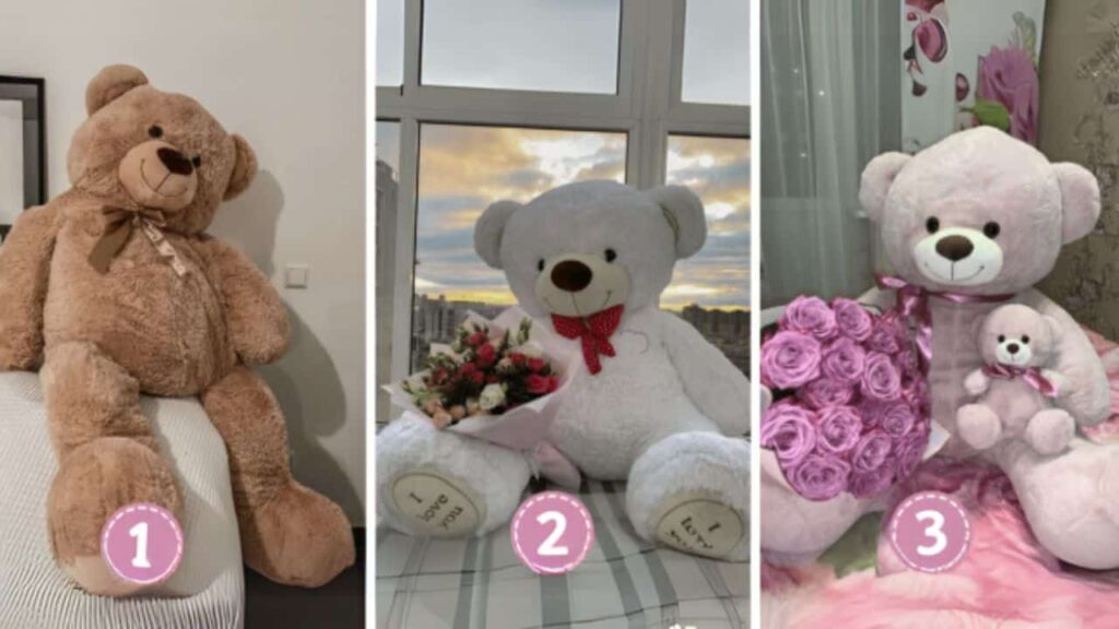 Teste de personalidade Qual urso