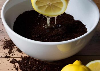 Borra de Café com Limão: solução natural para limpeza, beleza e jardim