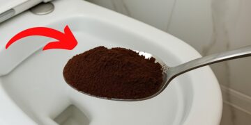 Jogue um punhado no vaso sanitário