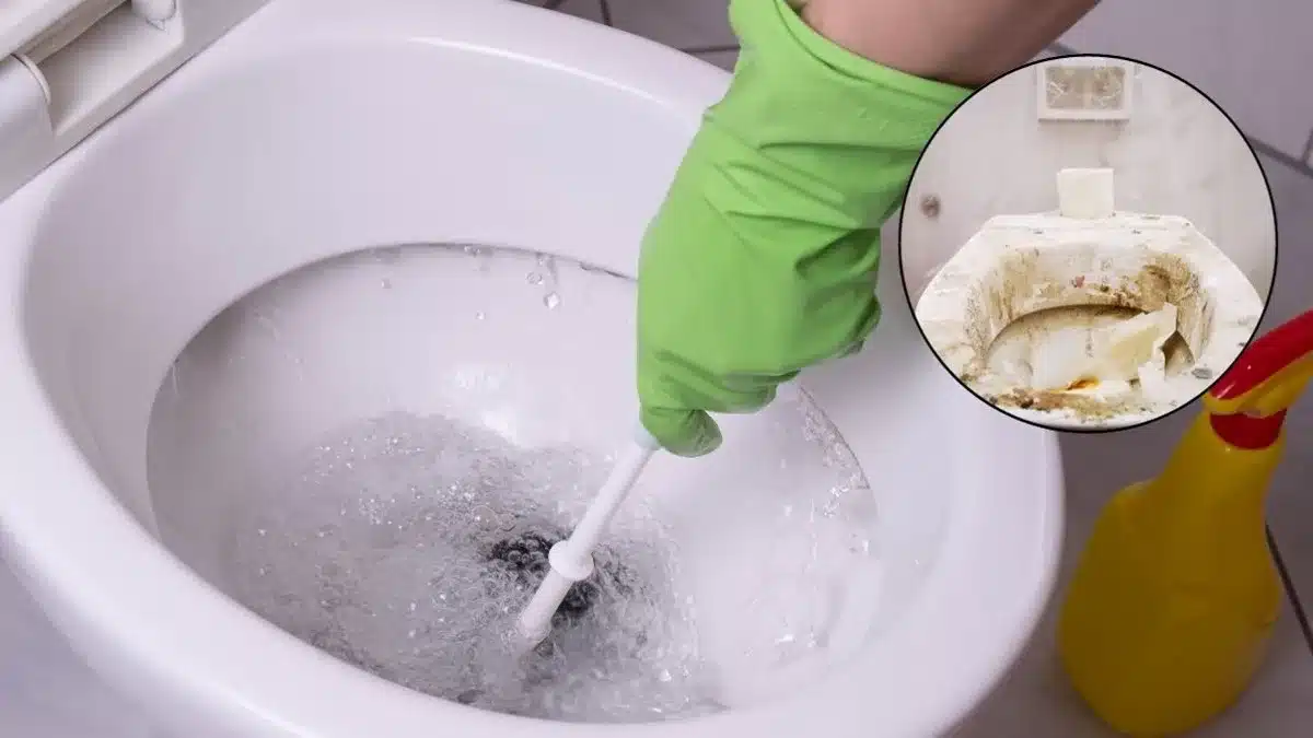 2 ingredientes caseiros para clarear vaso sanitário