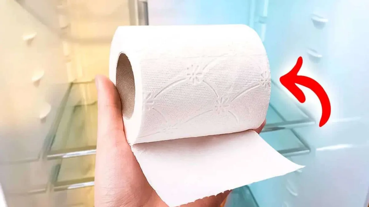 trocar o rolo de papel higiênico chegar no hotel?