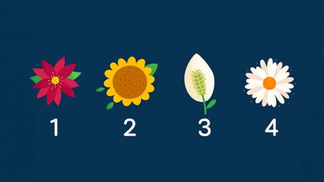 Teste de personalidade: Escolha 1 flor e se ajude a entender e melhorar a sua situação atual Teste de personalidade: Escolha 1 flor