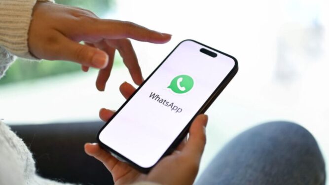 excluir contatos antigos no WhatsApp