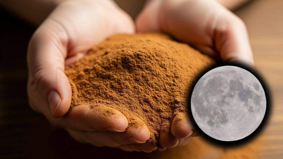 Método de agosto: use a canela na sua cozinha para atrair dinheiro e abundância canela na sua cozinha para atrair dinheiro