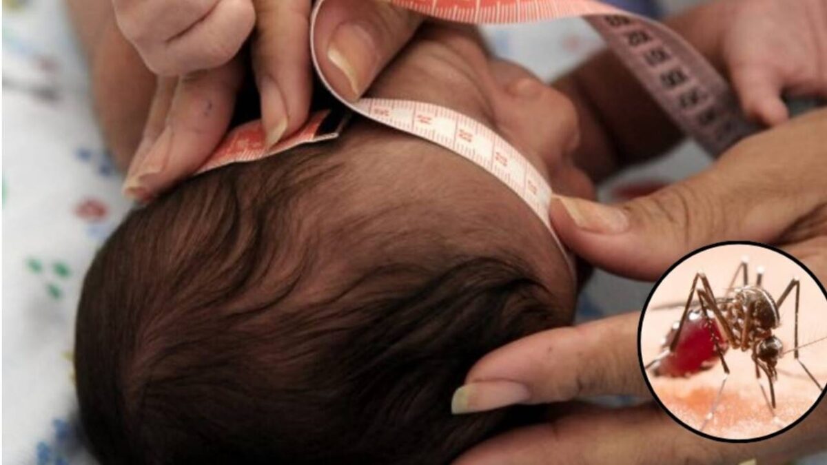 Auxílio para vítimas do vírus Zika é mantido pelo STF