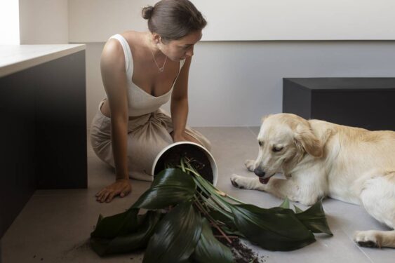 cachorro brincando com planta