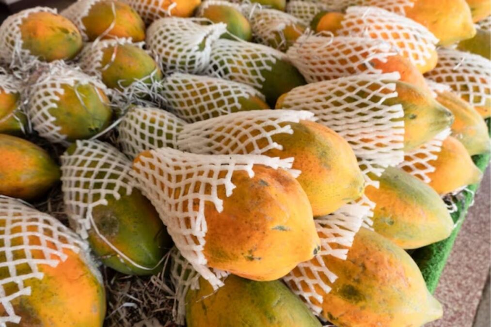 Como escolher um mamão maduro e doce no supermercado? mamão maduro e doce